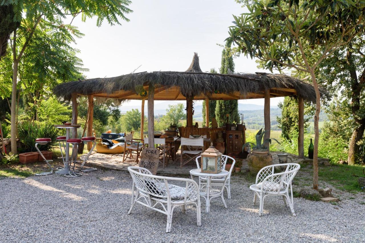 Agriturismo Quarantallina Buonconvento Eksteriør bilde